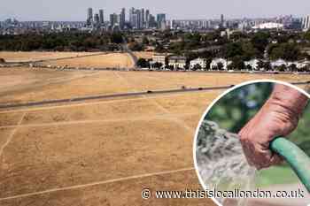 Hosepipe ban for London amid heatwave says Thames Water