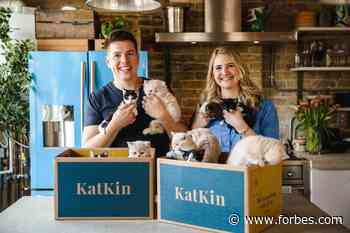 KatKin Raises $22 Million For Its Online Direct-To-Consumer Cat Food Brand - Forbes