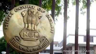Kite flying part of our culture and heritage: Delhi HC on plea for total ban - Newsroom Odisha