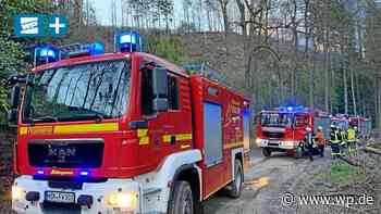 Marsberg-Essentho: Waldbrände werfen viele Fragen auf - WP News
