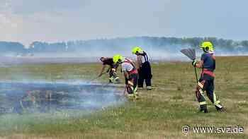 Der Stadtschleicher: Tatütata – die Feuerwehr ist da - svz – Schweriner Volkszeitung