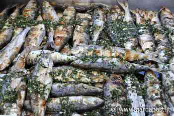 Garda, sardellata al chiar di luna dal 16 al 18 luglio - gardapost