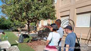 A Roma sud è in corso la riqualificazione dei giardini nelle scuole comunali