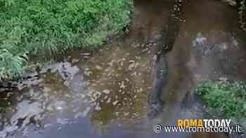 LETTORI - La solita schiuma nel Gramiccia