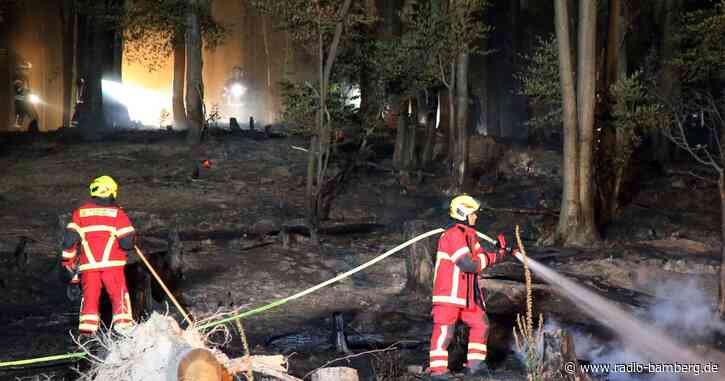 Schwierige Löscharbeiten: Waldbrand im Landkreis Miltenberg