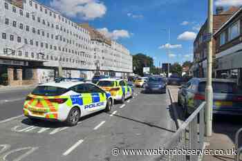 Police find 100 cannabis plants in St Albans Road raid