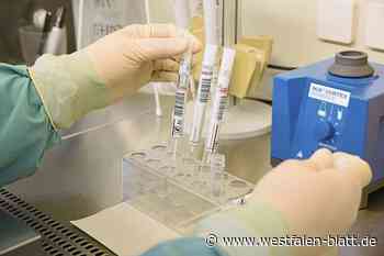 Corona-Tests: Bad Salzufler Labor erwartet mehr Proben
