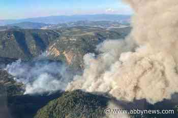 Unpredictable winds make wildfires an erratic adversary: experts