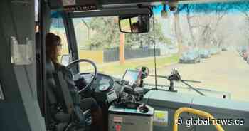 Saskatoon councillor wants city to look into unpaid transit fares