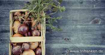 Coburg: Green-Deal-Ausstellung ab sofort in der Stadtbücherei zu sehen