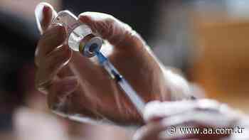EU regulator begins review on BioNTech/Pfizer's latest coronavirus jab - Anadolu Agency