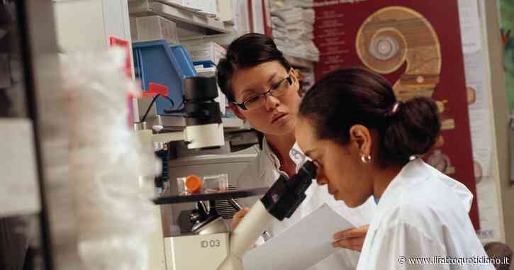 Gli scienziati cinesi “presentano” un nuovo virus: Langya. Almeno 35 casi, non sembra capace di trasmettersi da uomo a uomo