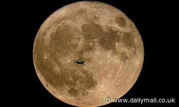 Final supermoon of the year will peak on Thursday appearing up to 30% bigger and brighter in the sky