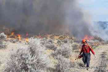 B.C. wildfires: 55 blazes burning, 8 of particular concern