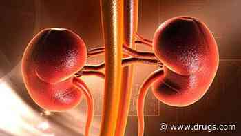 Serum Aldosterone Concentration Linked to CKD Progression