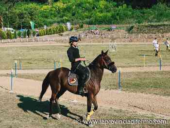 Innocenzi, sempre lui. Il cavaliere di Foligno sa solo vincere: è il re della Quintana di Ascoli - Laprovinciadifermo.com