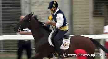 Luca Innocenzi da Foligno ha vinto la Quintana di Ascoli - ilmessaggero.it