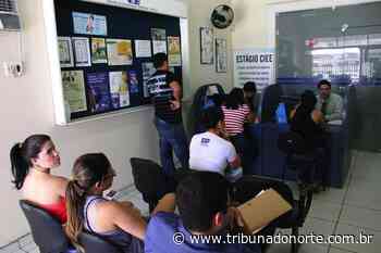 Secretaria de Educação de Natal vai contratar mais 800 estagiários - 08/08/2022 - Notícia - Tribuna do Norte