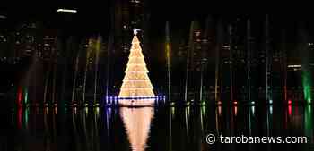 Londrina vai aumentar em 241% o investimento na decoração de Natal deste ano - Tarobá News