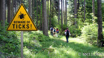 Major test of 1st possible Lyme disease vaccine in 20 years begins