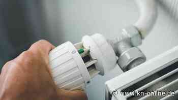 Bundesnetzagentur: So lässt sich eine Gasnotlage im Winter abwenden