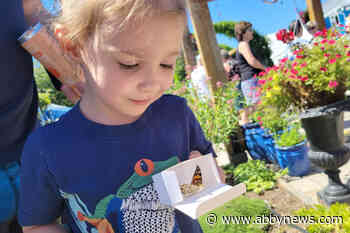 VIDEO: Butterfly release event returns to Lower Mainland community