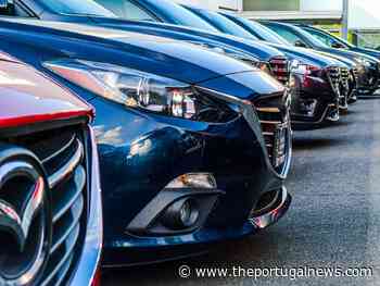 Transport and tourism company boom - The Portugal News