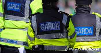 Son of notorious killer threatens to 'cut up' Dublin barman - Dublin Live