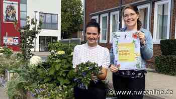 Moin Gärten in Vechta werden abgebaut: Blühende Oasen zu verschenken - Nordwest-Zeitung