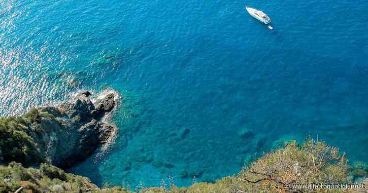 Cambiamenti climatici: il caldo uccide pesci, coralli e altre 50 specie marine nel Mediterraneo