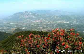 Sui monti dell’oasi aspettando le stelle cadenti - TV Sette Benevento