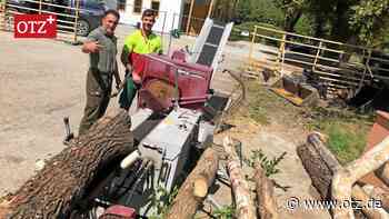 Stadtforst Jena verkauft in sieben Monaten so viel Brennholz wie früher in einem Jahr