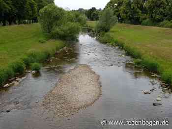 Trockenheit senkt Pegel von Flüssen und Bächen - Regenbogen