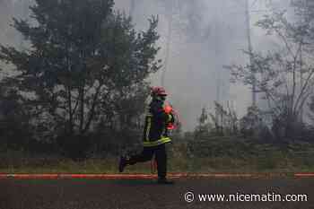 Reprises de feu en Gironde, au moins 320 hectares de pins brûlés
