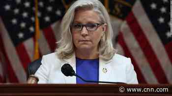 Liz Cheney buys time on Fox News to air viral ad featuring her father condemning Trump