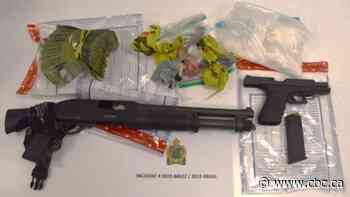 14-year-old and 3 adults charged after police seize $122K worth of drugs in Niagara