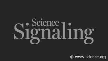 Hungry in the sun | Science Signaling