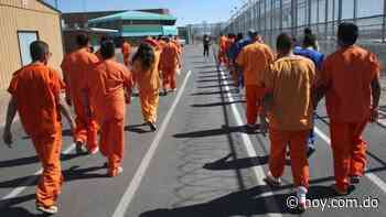 Delincuentes NYC con 100 arrestos caminan libres por las calles - Hoy.com.do