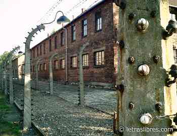 La no excepcionalidad del Holocausto y la banalidad del mal - LetrasLibres.com