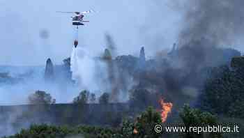 I dati Ispra sugli incendi 2021: Sicilia la più colpita, in Sardegna il rogo più esteso - la Repubblica