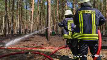 Waldbrand bei Bad Saarow – Feuerwehr im Großeinsatz! - B.Z. – Die Stimme Berlins