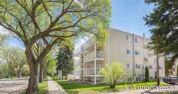 5 affordable rentals you can find in Edmonton for under $1000 right now - Curiocity