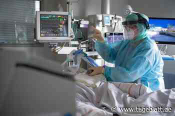 Zwei Corona-Todesfälle im Kreis Stade – Bundesweit mit die höchste Inzidenz - Landkreis Stade - Stader Tageblatt - Tageblatt-online