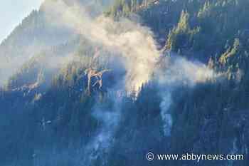 4-hectare Wildfire North Of Mission Suspected To Be Human Caused - Abbotsford News