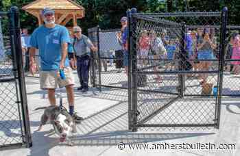 Pooches unleashed: Amherst opens long-awaited dog park - Amherst Bulletin