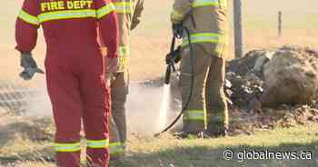 Campfires restricted in Kananaskis Country as southern Alberta fire risk increases