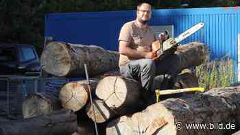 Personal und Importe fehlen: Brennholz wird knapp | Regional - BILD