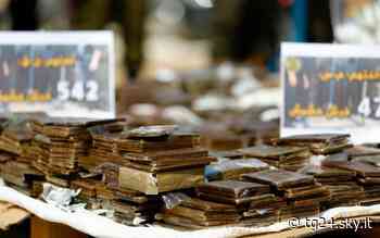 Vigevano, droga: arrestato con cinque chili di hashish - Sky Tg24