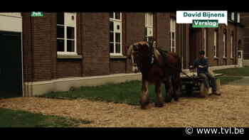 Hamonts bakkerskoppel heeft film over teuten klaar - TV Limburg