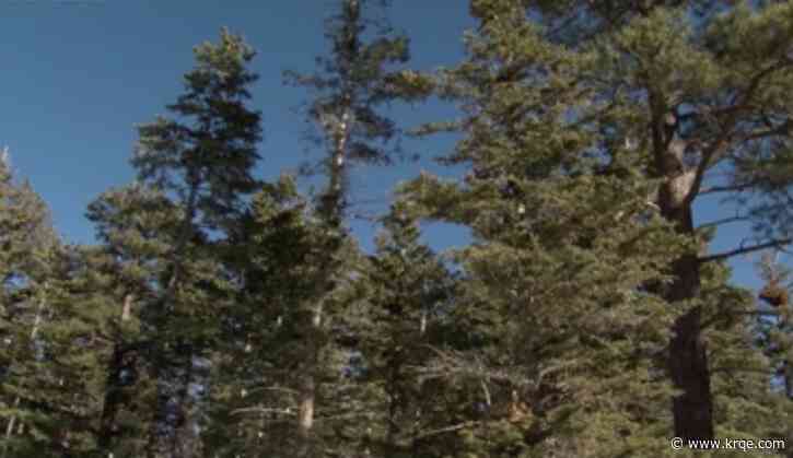 More areas of Pecos wilderness re-opening